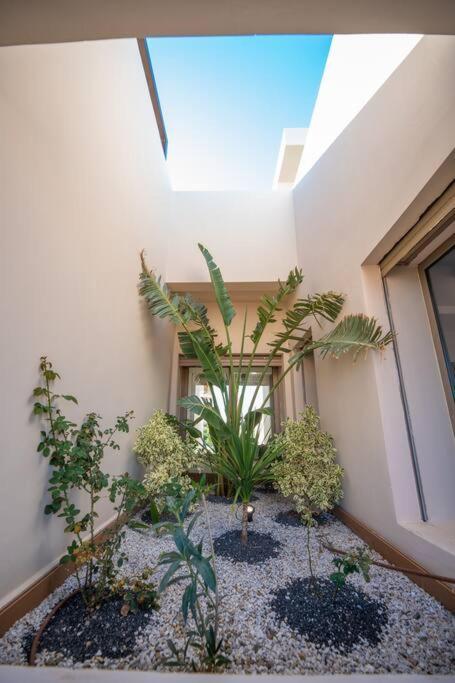 Marrakech Urbane Luxe
